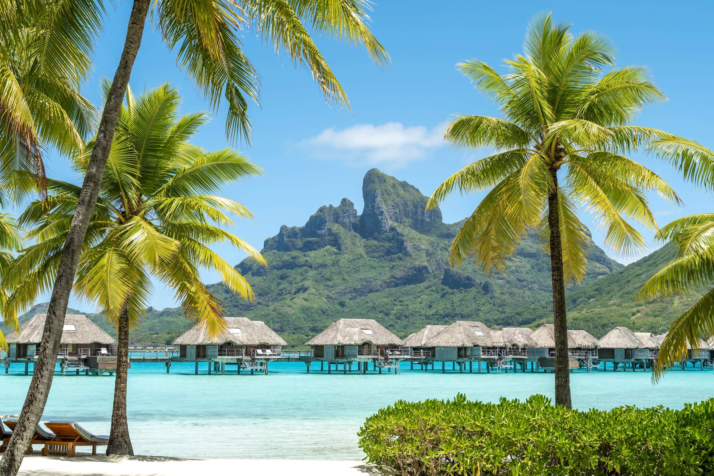 Paradise Awaits